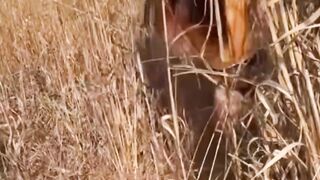 fanny video viral trending foryou public