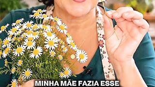 Chá de camomila