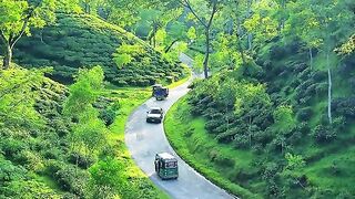 Beautiful Road In Bangladesh 🇧🇩🍃