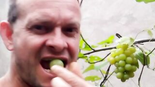 Comendo uva no quintal