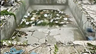 🏗️ The said that pool would never be salvageable!✨👀