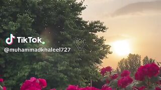 Tik Tok Video 160
