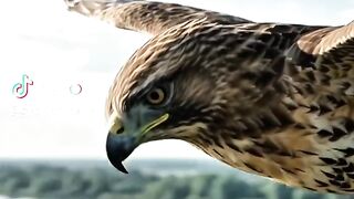 Tik Tok Video 165