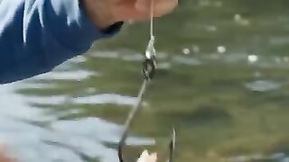 Pesca 3