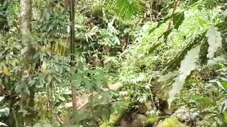 Natureza e passarinho #piadas #humor #comédia