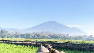 Desa indah