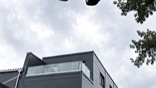 BMW vs Porsche