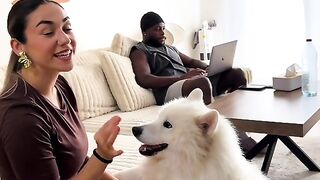 mon chien est pas mal traité