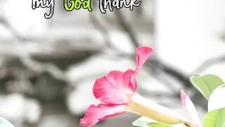 Thanks my God