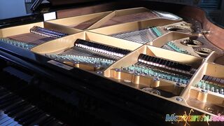 Love of Music Box 8