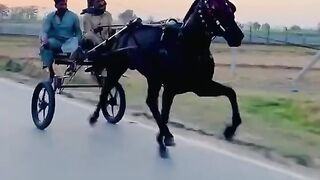 Get More Traffic