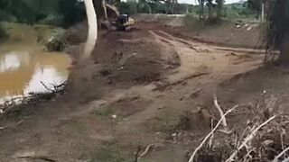 🐍 ANACONDA, COBRA GIGANTE: Conheça a Maior Cobra das Águas! 😱