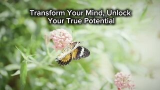 Transform Your Mind, Unlock Your True Potential