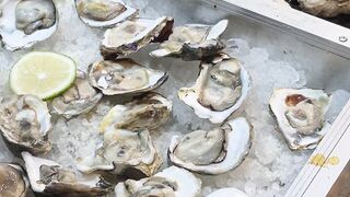 fresh oysters