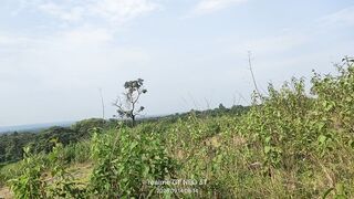 New blog subah subah ek tungei upara.