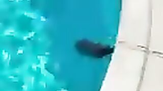 Tik Tok Video 181