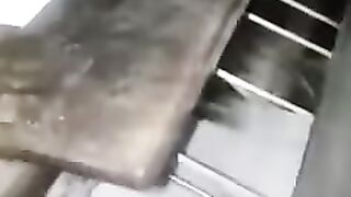 Printing production 2