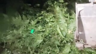 seorang operator peralatan berat bekerja sendirian di hutan pada malam hari