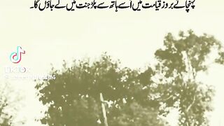Hadees writer