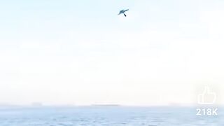 Paper plane tutorial