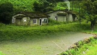 Beautiful Nature Scenery 🌿 | Peaceful Forest & River View