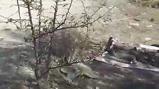 ВОЙНА УТРО СЛЕДУЮЩЕГО ДНЯ.