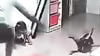 Tik Tok Video 206