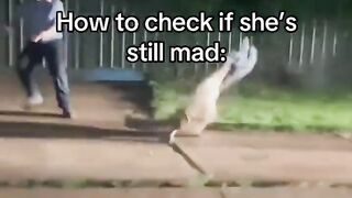 She's mad for sure