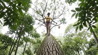 Picking fruit from a tall tree