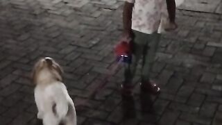 Passeio 9