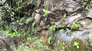 O lugar onde estou é muito rico em água potável