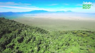 The Underdogs of Ngorongoro - Pollinators & Messengers.