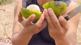An avocado fell from the tree and ripened perfectly.