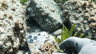 We Found a Lost Backpack Deep Underwater… Then Fish Swam Out