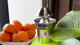 Manual handheld juicer