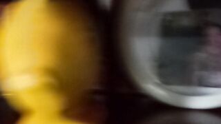 Peixe 4