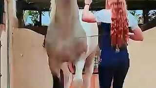 Beautiful video 114