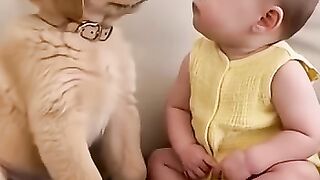 So beautiful video 11