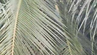 Vida na roça 3