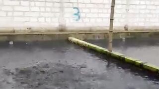 Ikan lele seperti ini❗️Jangan panik ini solusinya