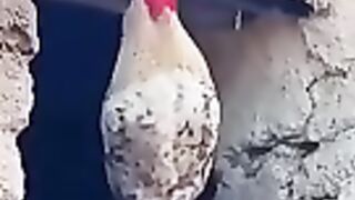 Смех и радость мы приносим людям.