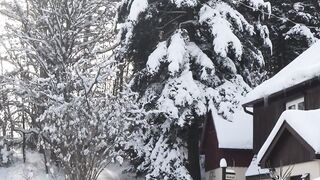 The Hinterkaifec farm murders; foot steps in the snow