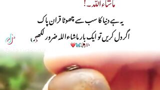 Shanikashmiri