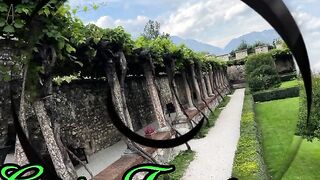 Garden 12