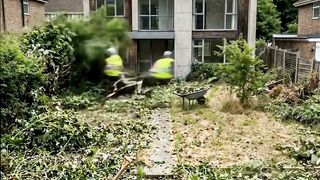 🏗️This garden was completely abandoned... Look at the result! ✨👀