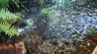 Natureza Divina