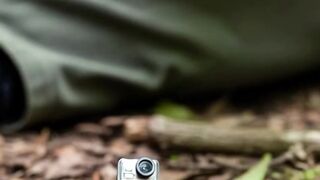 Camera on the Back of a Burrowing Cockroach 🪳 | The Hidden Underground World