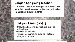 Tip Tebar Benih Baru