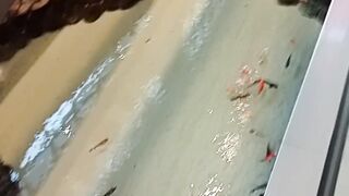 PEIXES carpas