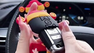 Car key cover
